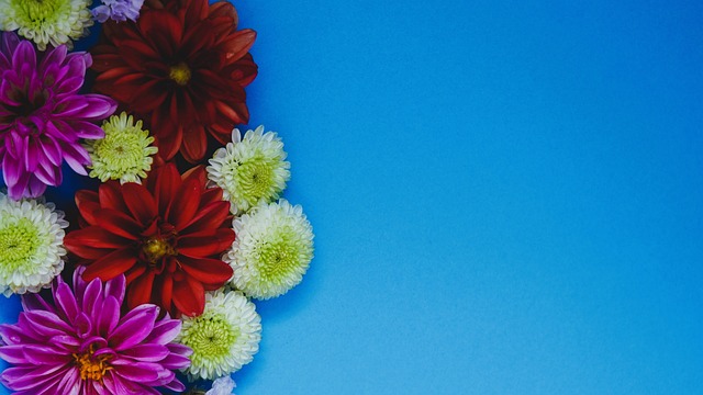 暴露了留學 暴露了留學