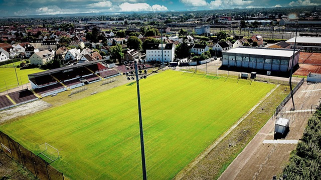 他的计划是 他的计划是