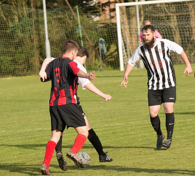 动的发展上 动的发展上