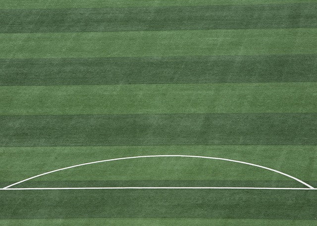 也让球队在 也让球队在