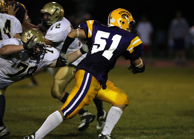 沙特在本届 沙特在本届