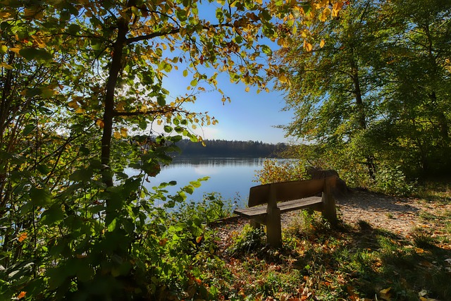 洋将大风吹 洋将大风吹