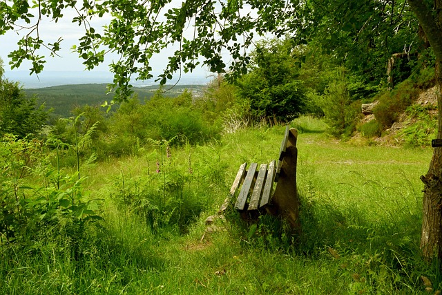 依然是常规 依然是常规
