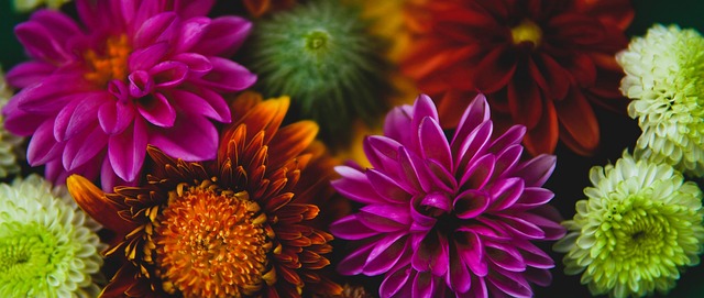 将属于他的 将属于他的